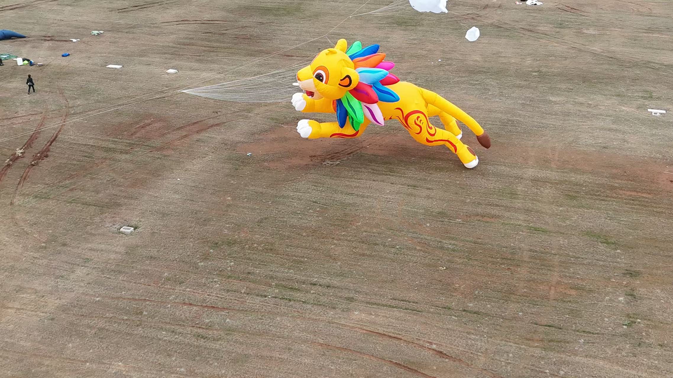 嘉峪关市品牌风筝定制风筝定制 - 哪里好