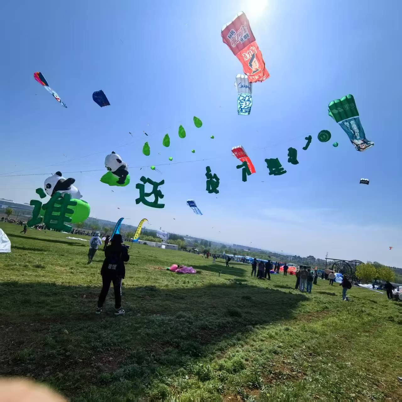 嘉峪关市软体风筝定制风筝定制 - 价格